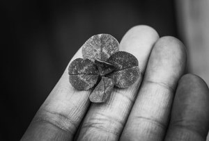 ví điện tử F8bet